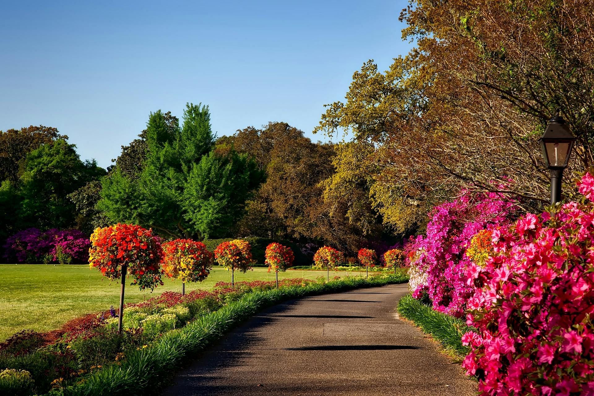 The body of Jennifer was found in a wooded area in the park (Image via Pexels)